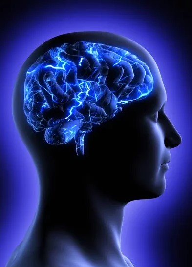 neurodiverse brain